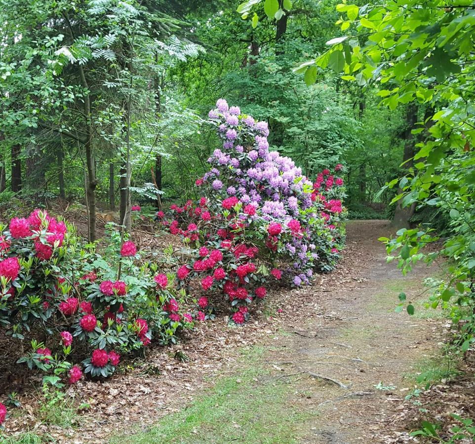 Veluwe Nature - 2 Persons Apartment *